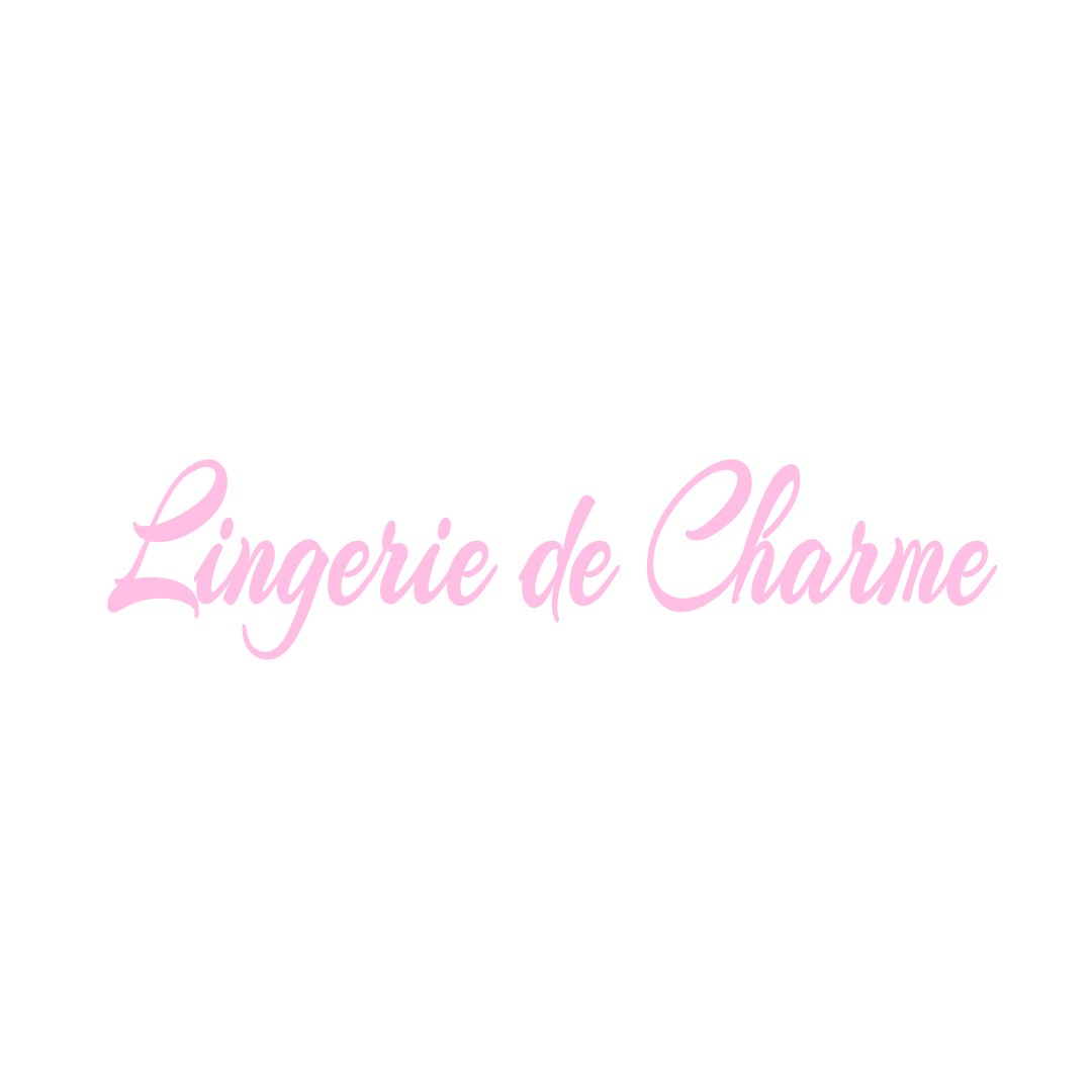 LINGERIE DE CHARME ARCY-SAINTE-RESTITUE